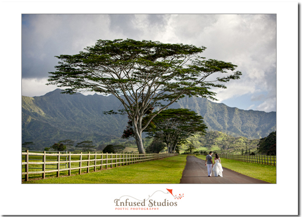 Kauai Destination Wedding
