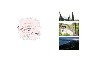 Tammy + Dickson Napa Valley engagement photos on The Bride Link