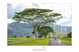 Jenn + Albert :: Kaui Trash the Dress Destination Wedding Photography