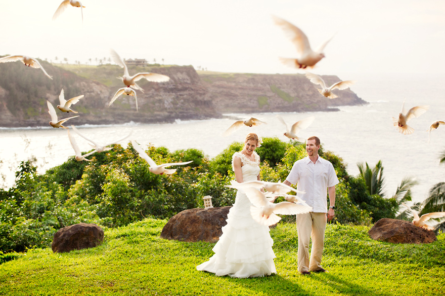 Doves  :: Hawaii Wedding Photography by infusedstudios.ca