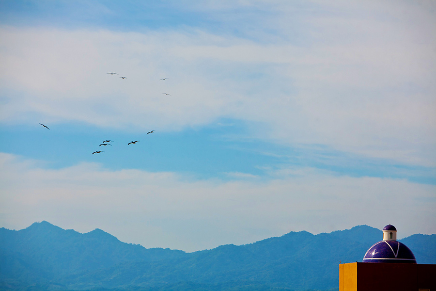 Birds in the sky :: Destination Wedding Photography by infusedstudios.ca