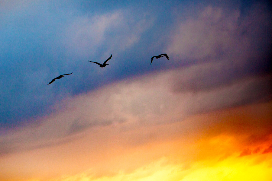 Flying into the sunset :: Destination Wedding Photography by infusedstudios.ca