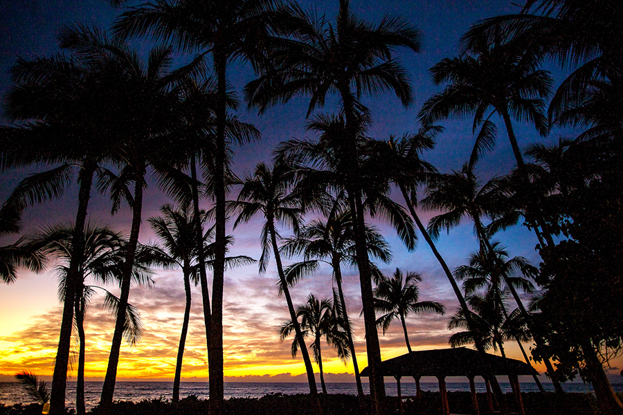 Sunset palm trees :: Hawaii Wedding Photography