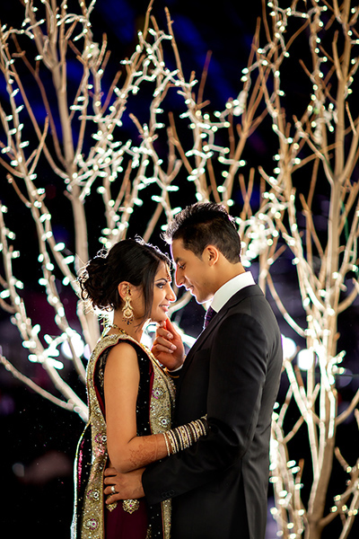 Lit tree :: Wedding Photography Edmonton