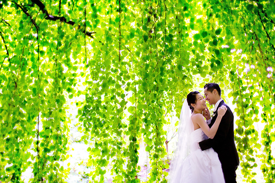 Tree background bridal portrait :: Wedding Photography Vancouver