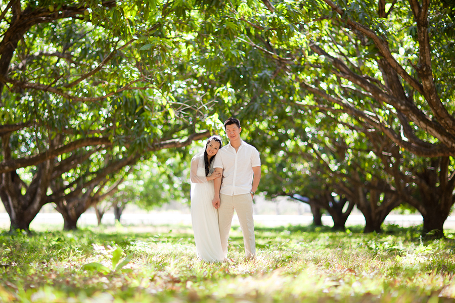 In the orchard :: Destination Wedding Photography