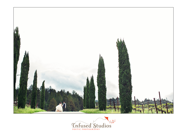 Tammy + Dickson :: Napa Valley pre-wedding shoot