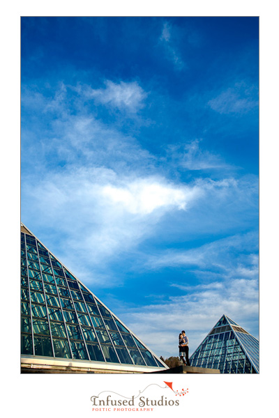 Amy + Howard :: Edmonton Engagement Photography at Muttart Conservatory