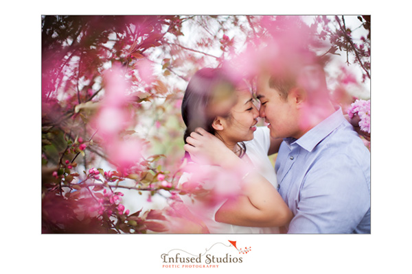 Vancouver Cherry Blossom engagement photography