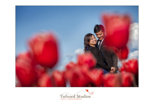 Seattle Engagement Photos :: Tulip field