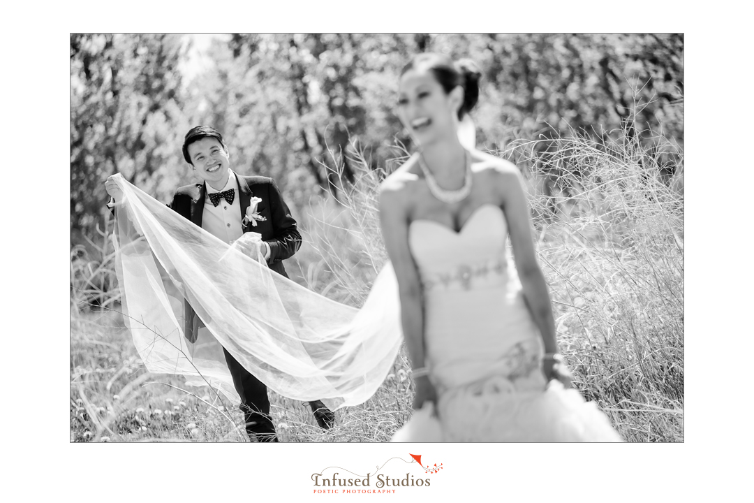 Edmonton wedding photography :: long veil