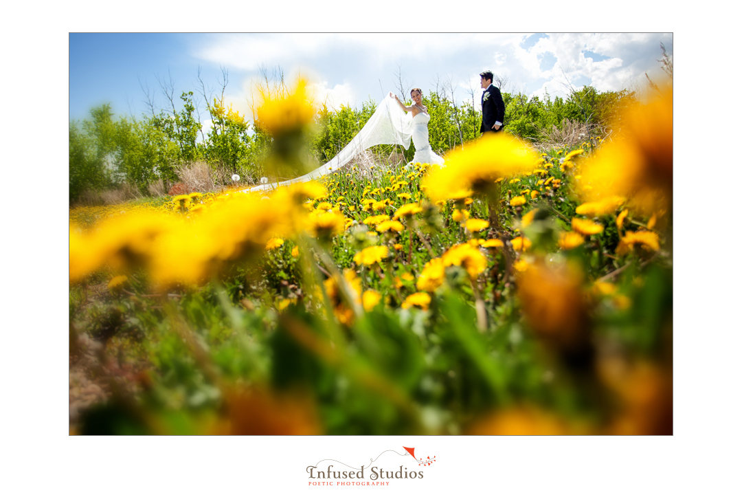 Edmonton wedding photography in flower field
