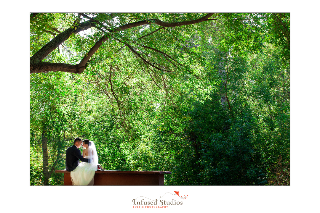 Outdoor bridal portrait :: Edmonton wedding photography