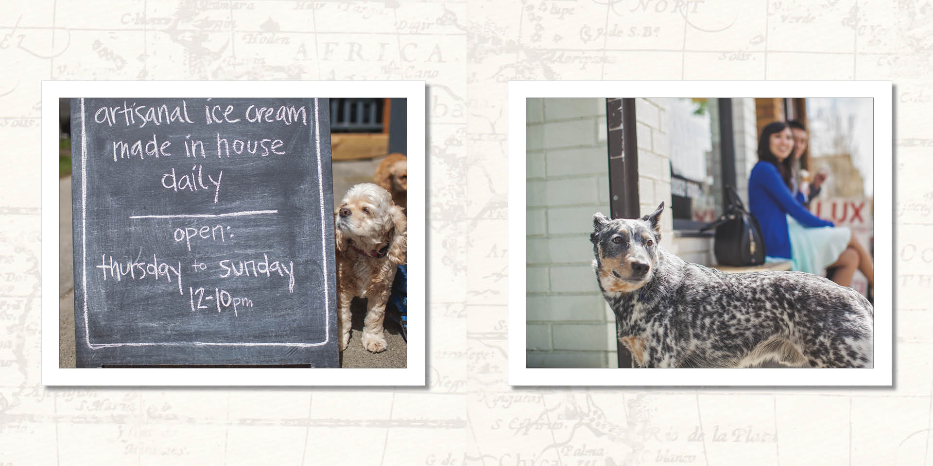 Award winning Vancouver engagement :: ice cream dogs