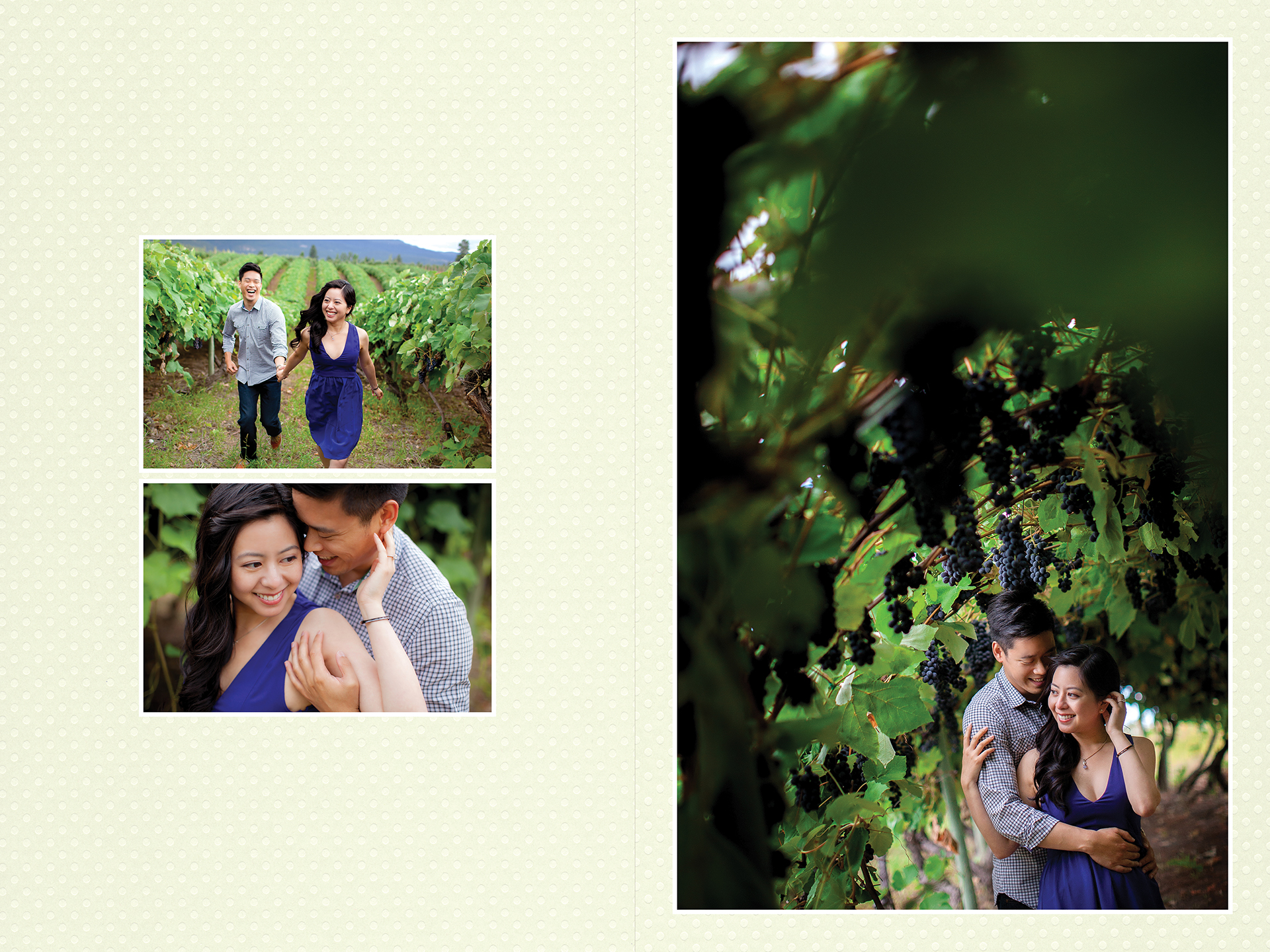 Ada + Dave award winning Kelowna engagement album vineyard shoot page 1
