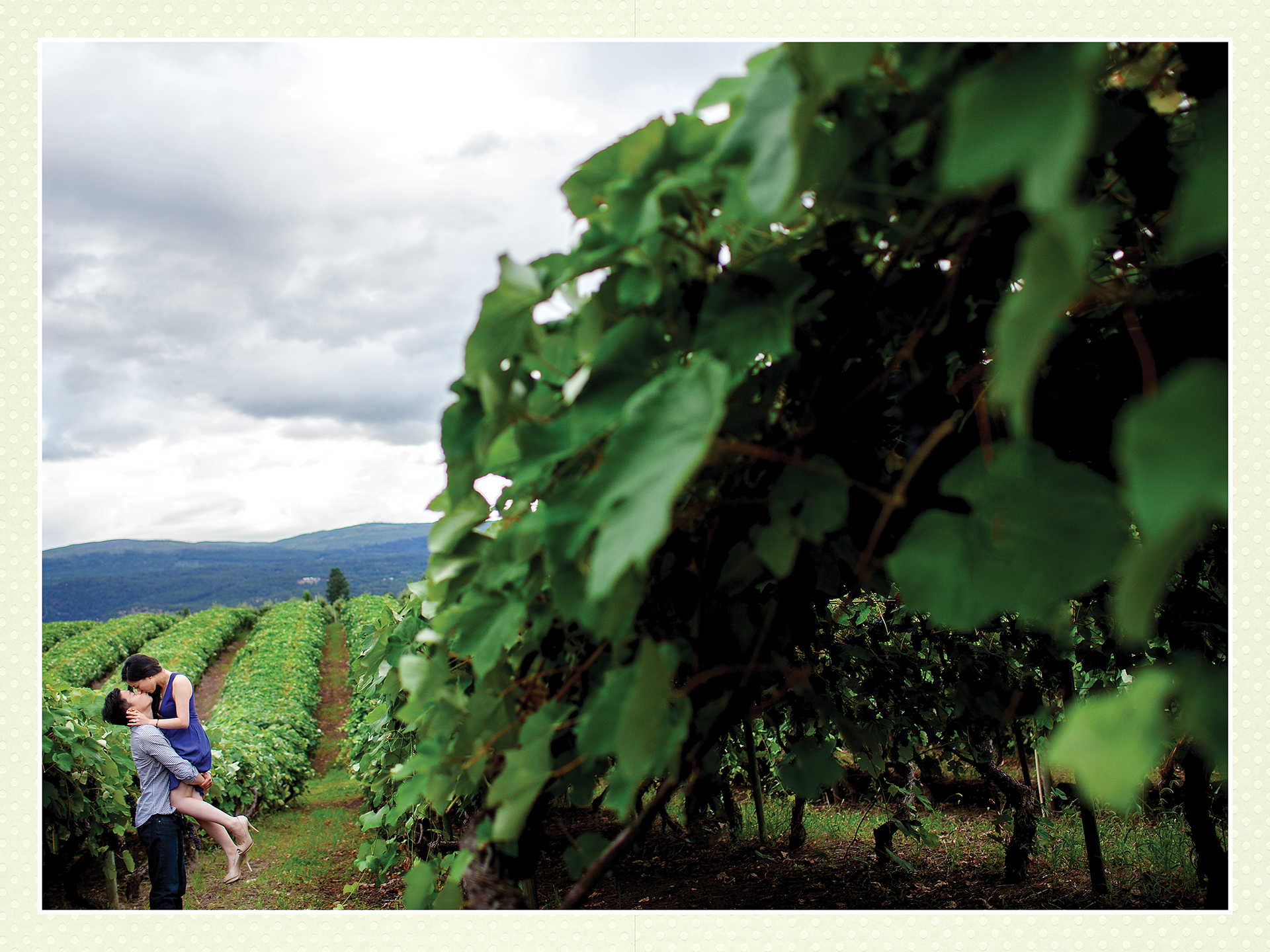 Ada + Dave award winning Kelowna engagement album vineyard page 2