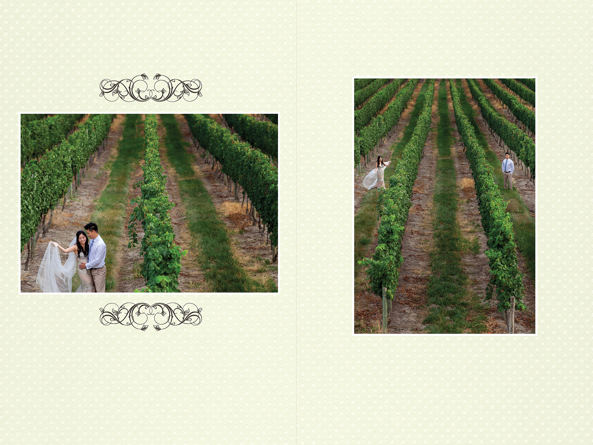 Ada + Dave award winning Kelowna engagement album vineyard shoot