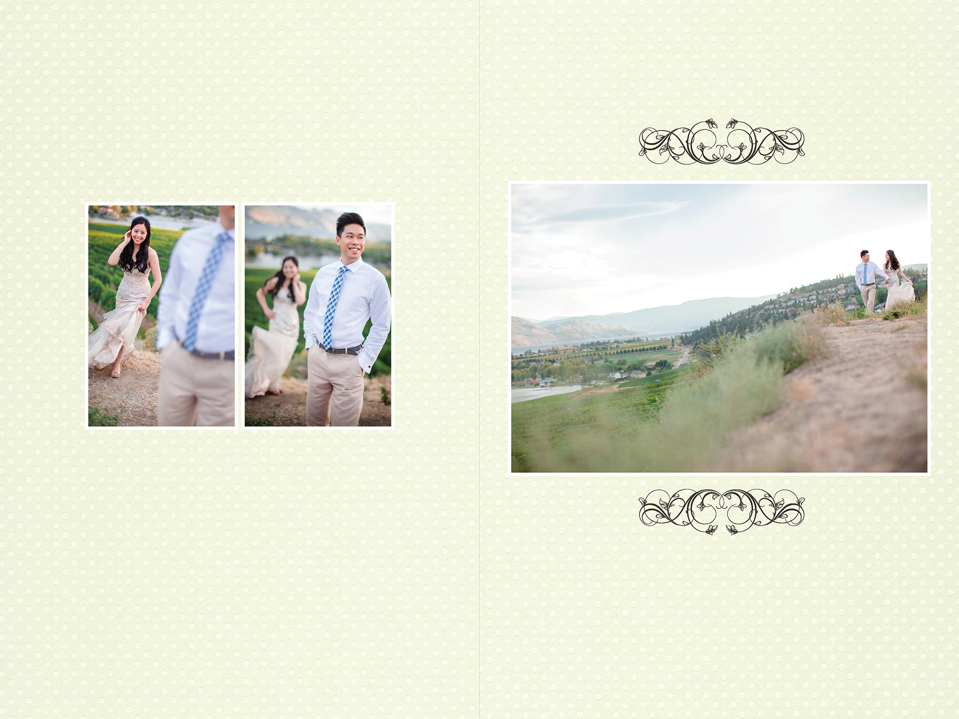 Ada + Dave award winning Kelowna engagement album vineyard