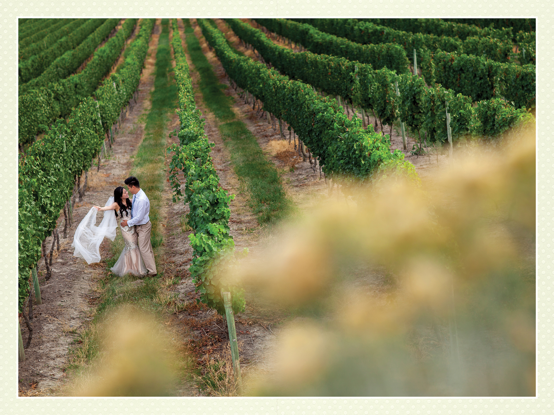 Ada + Dave award winning Kelowna engagement album creative portrait amongst grapevines