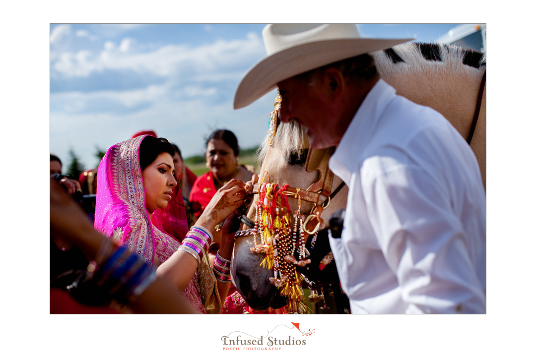 Edmonton wedding photographers :: horse outside temple