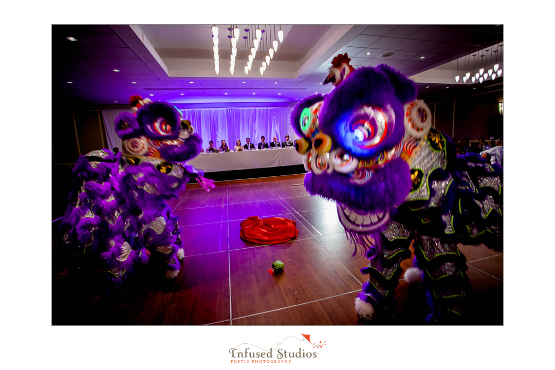 Edmonton wedding photographers :: Chinese lion dancing