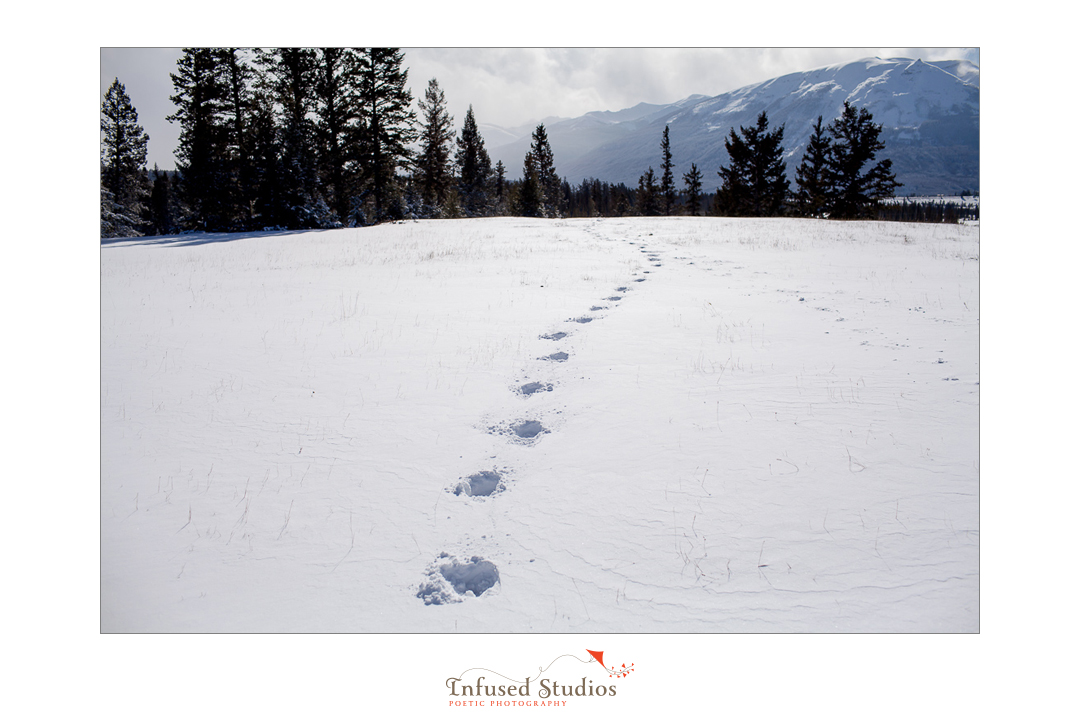 Snowy winter engagement photos