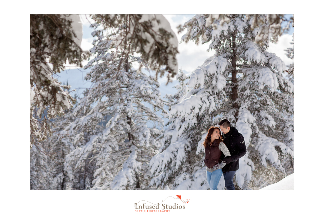 Snow covered trees as background for engagement photos