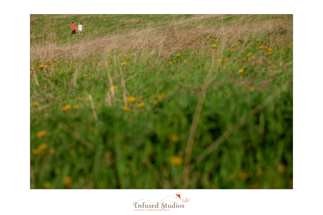 St Albert wedding & engagement photographers :: Rosanna + Chris' engagement field vista