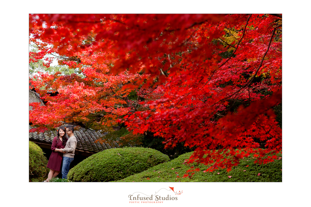 Edmonton Wedding Photographers