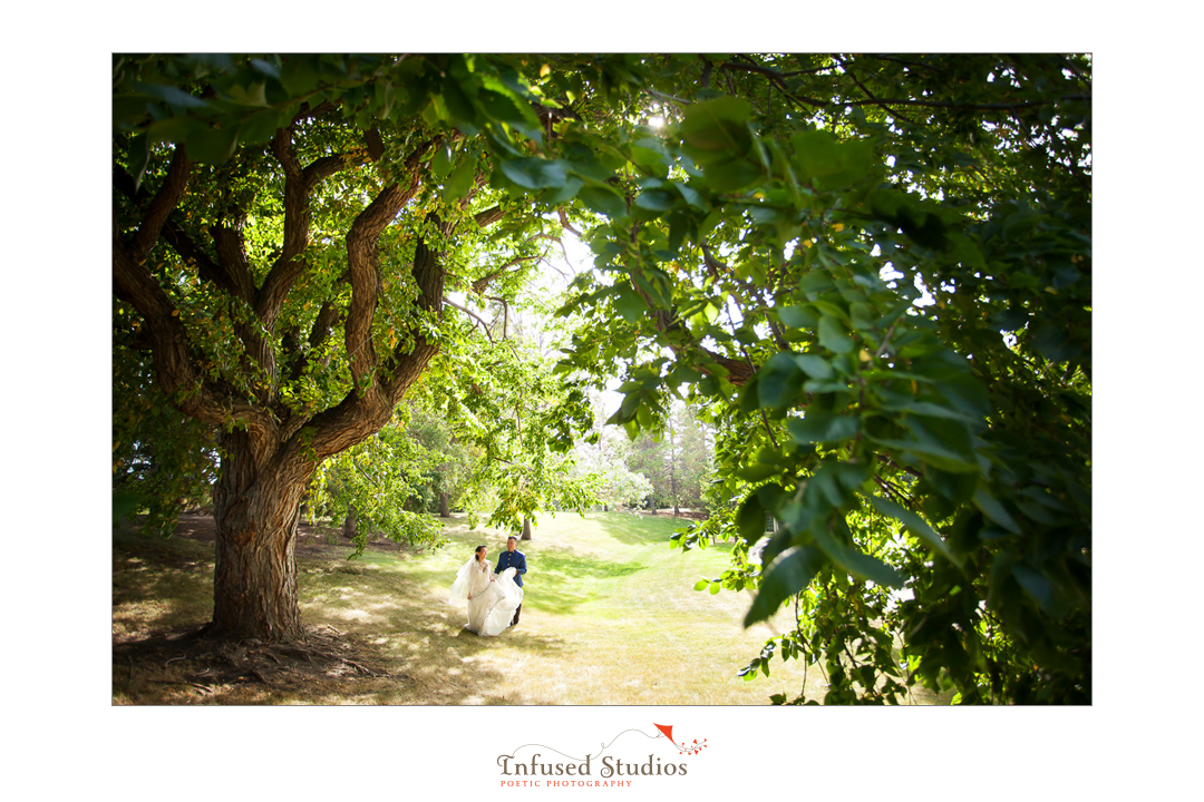 Edmonton Wedding Photography