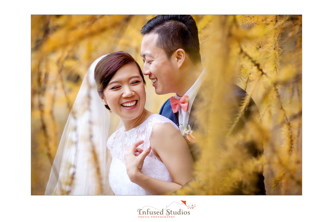 Edmonton Wedding Photographers